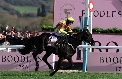 Cheltenham Festival 2024: Final results and every .